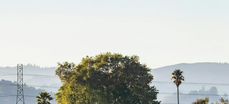 A landscape