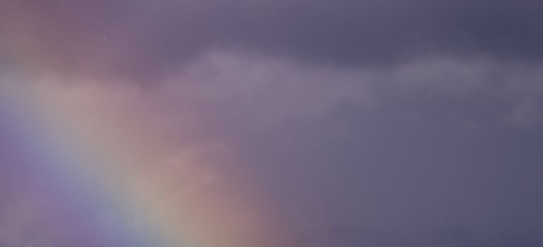 A rainbow over SF, after a storm that makes moving during Bay Area rainy season difficult